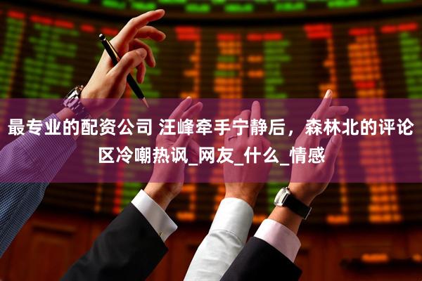 最专业的配资公司 汪峰牵手宁静后，森林北的评论区冷嘲热讽_网友_什么_情感