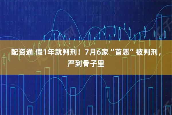 配资通 假1年就判刑！7月6家“首恶”被判刑，严到骨子里