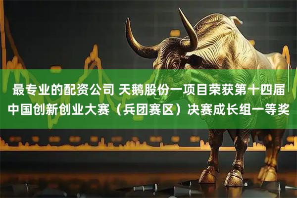 最专业的配资公司 天鹅股份一项目荣获第十四届中国创新创业大赛（兵团赛区）决赛成长组一等奖